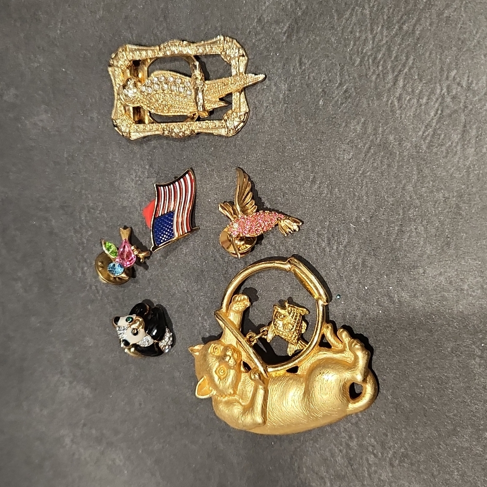 Bundle of Brooches/Pins
